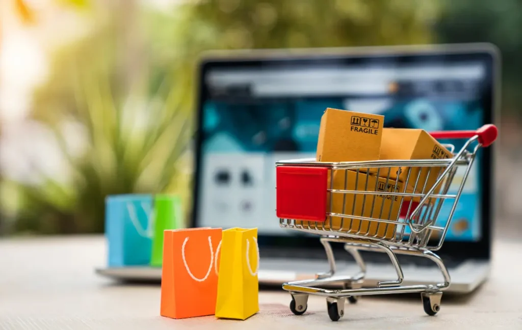 Jasa Pembuatan Website Ecommerce Profesional Anik Works