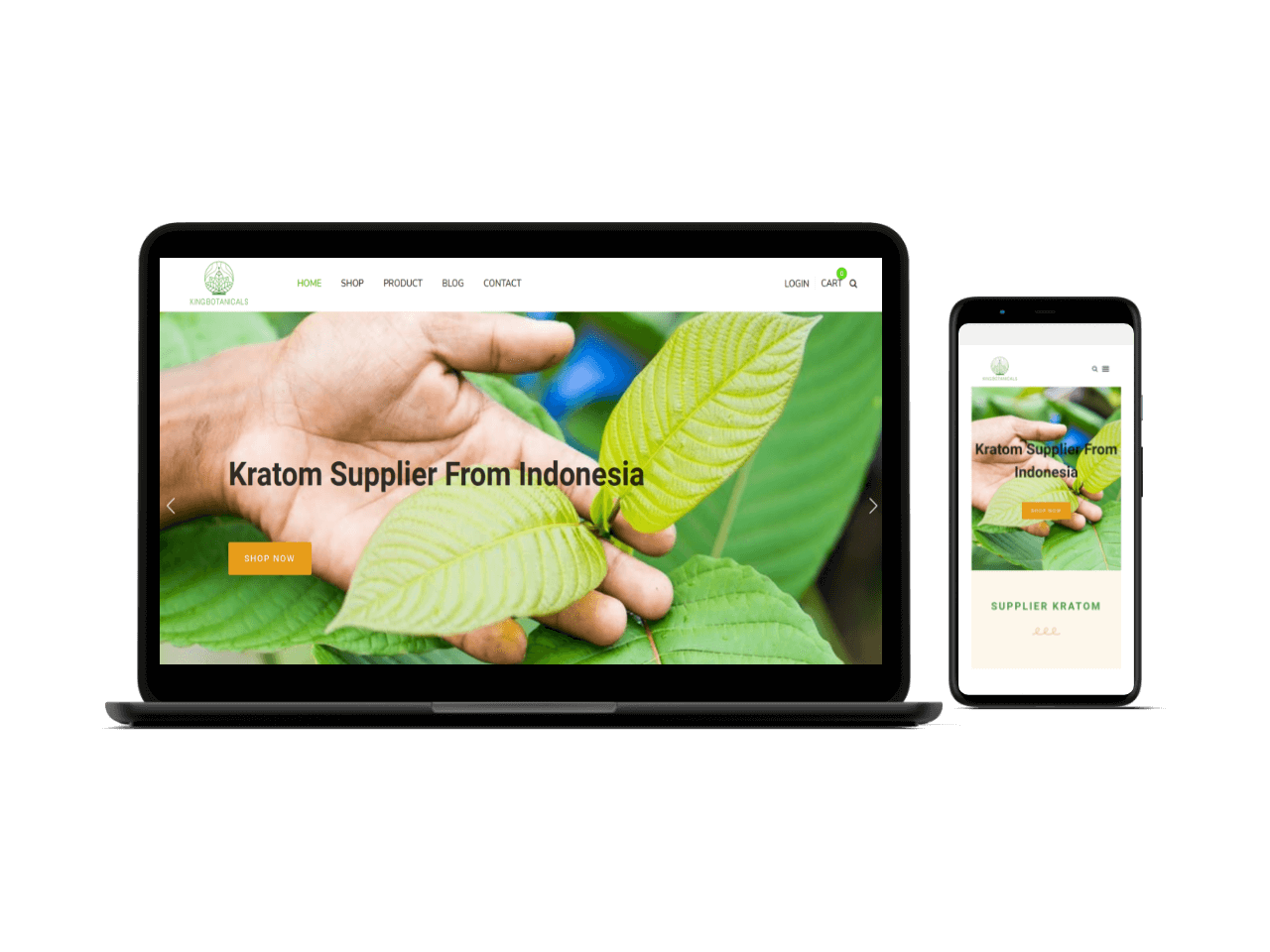 Jasa Pembuatan Website Toko Online