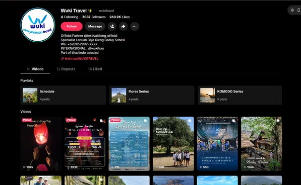 Konten TikTok Wuki Tour