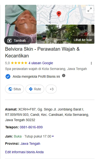 Google Maps Belviora Skin 2